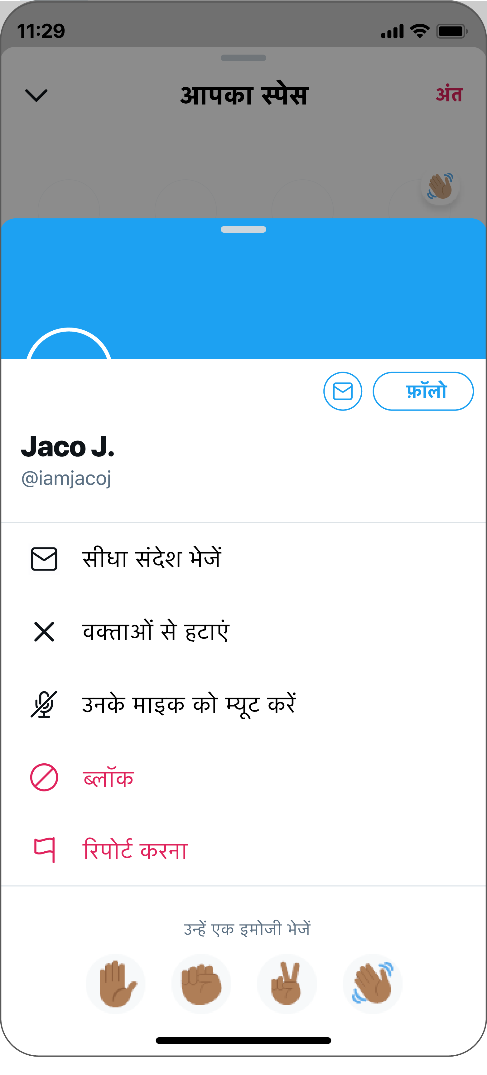 होस्ट वक्ताओं को देखता है और अगर वह चाहे तो बोलने की क्षमताओं को रद्द कर सकता है.